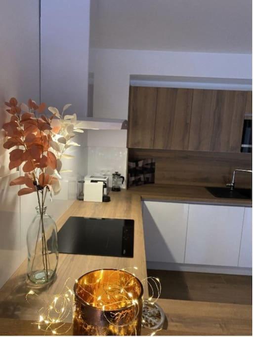 Apartmán Le Doux Meleze Saint-Chaffrey Exteriér fotografie